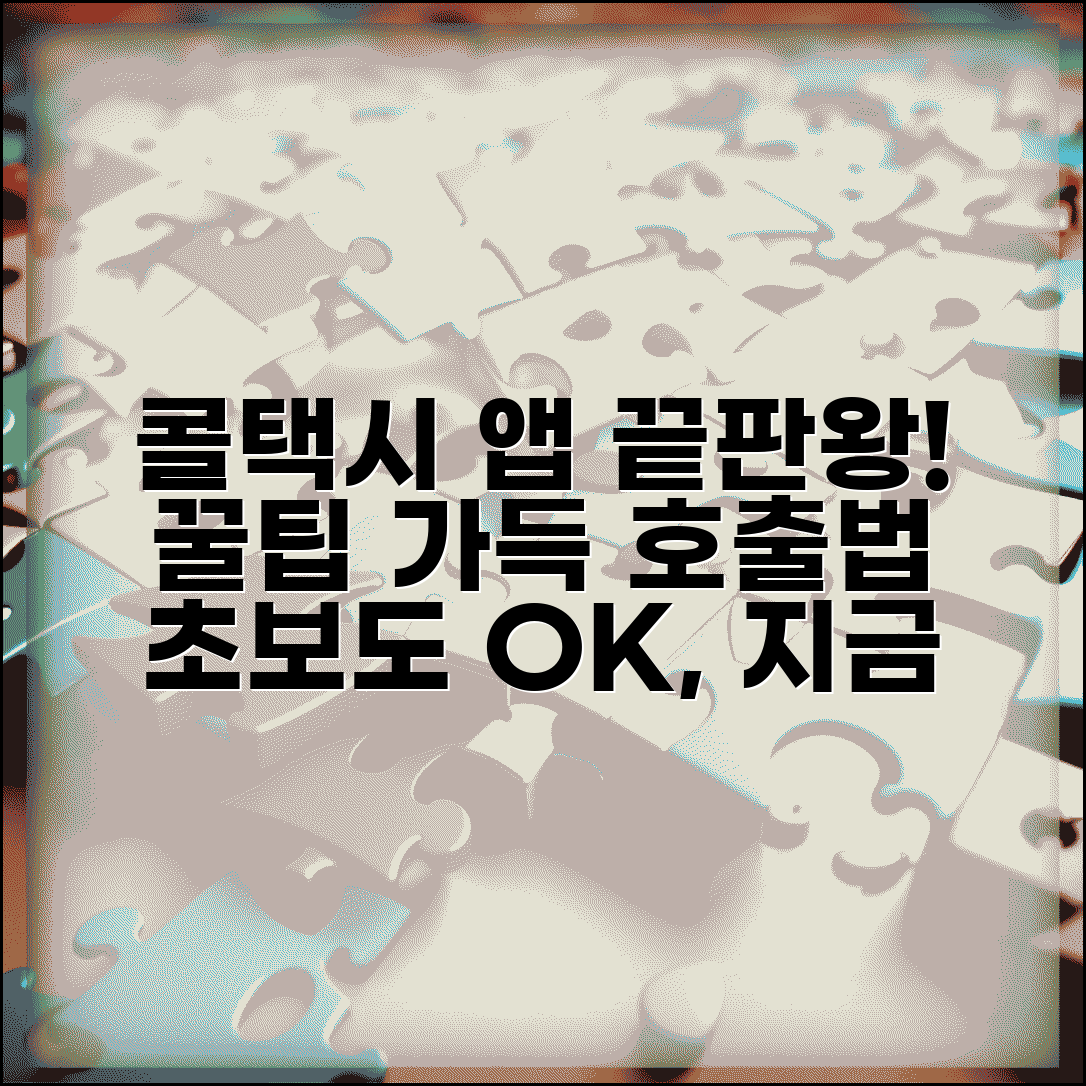 콜택시 앱 추천 | 콜택시 호출 앱 사용법 완벽가이드