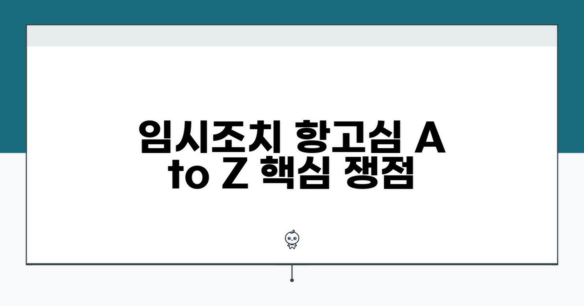 임시조치 항고심, 절차와 쟁점