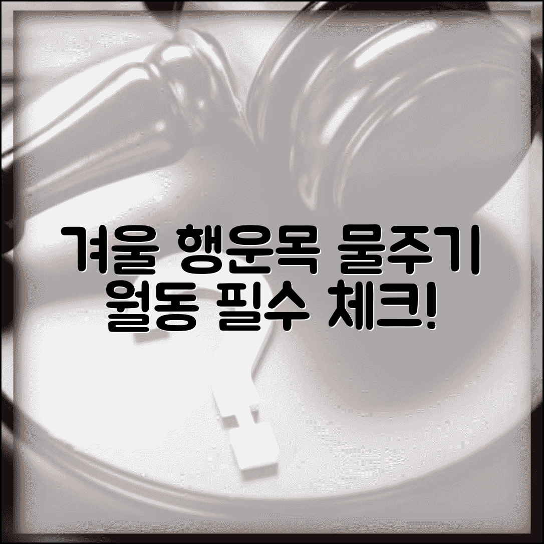 행운목 물주기 주기 겨울 | 행운목 월동 관리 방법
