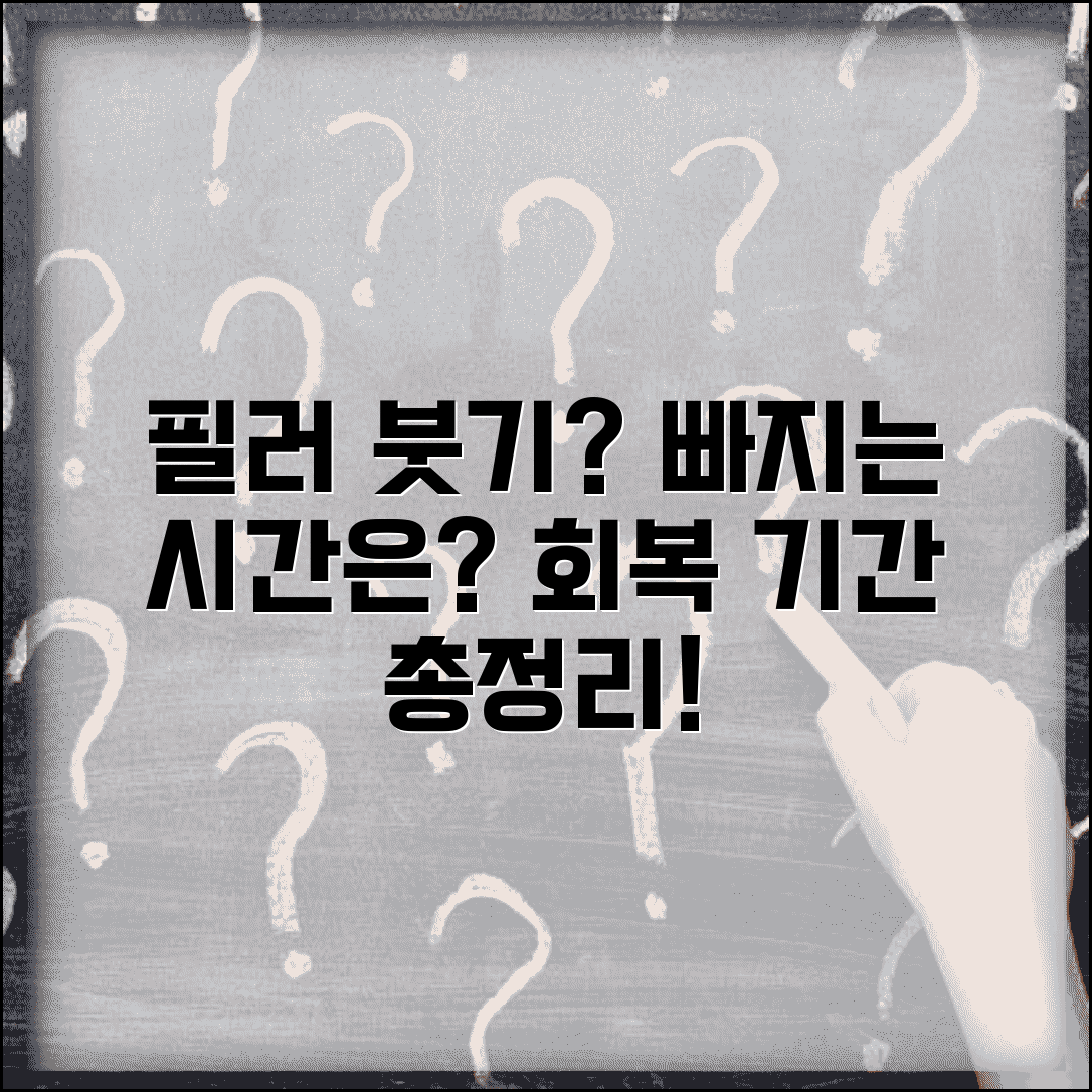 필러 부기 빠지는 시간 며칠 | 필러 붓기 회복 기간