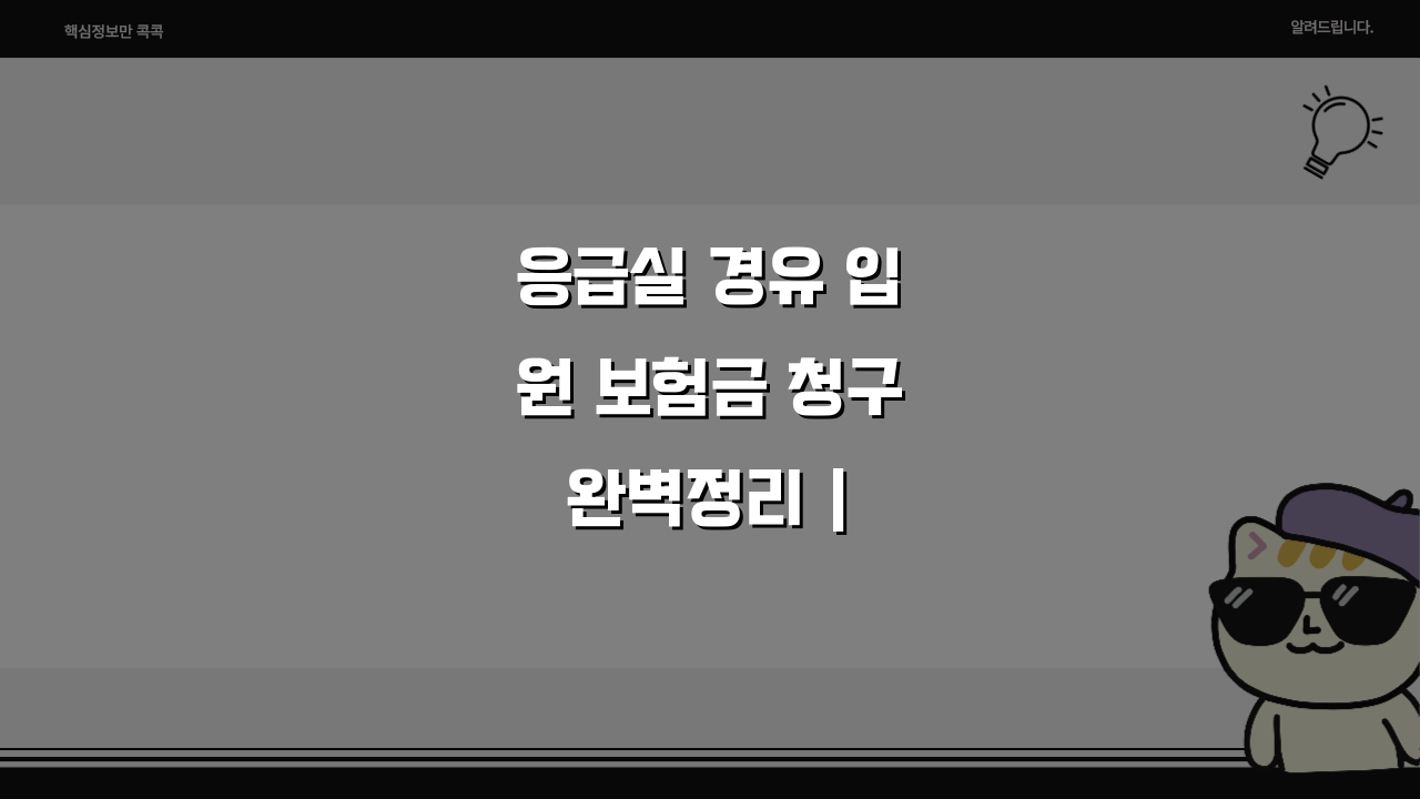 응급실 경유 입원 보험금 청구 완벽정리 | ER 통한 응급 입원 실손 청구 방법 5단계