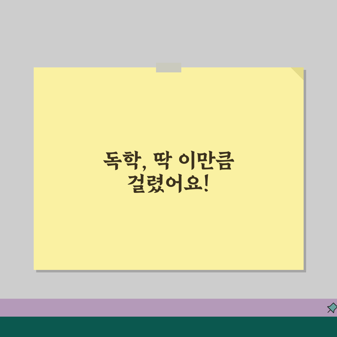 사진 촬영 독학 배우는 기간 | 사진 찍는 법 공부 기간, 제가 경험한 꿀팁 공유할게요