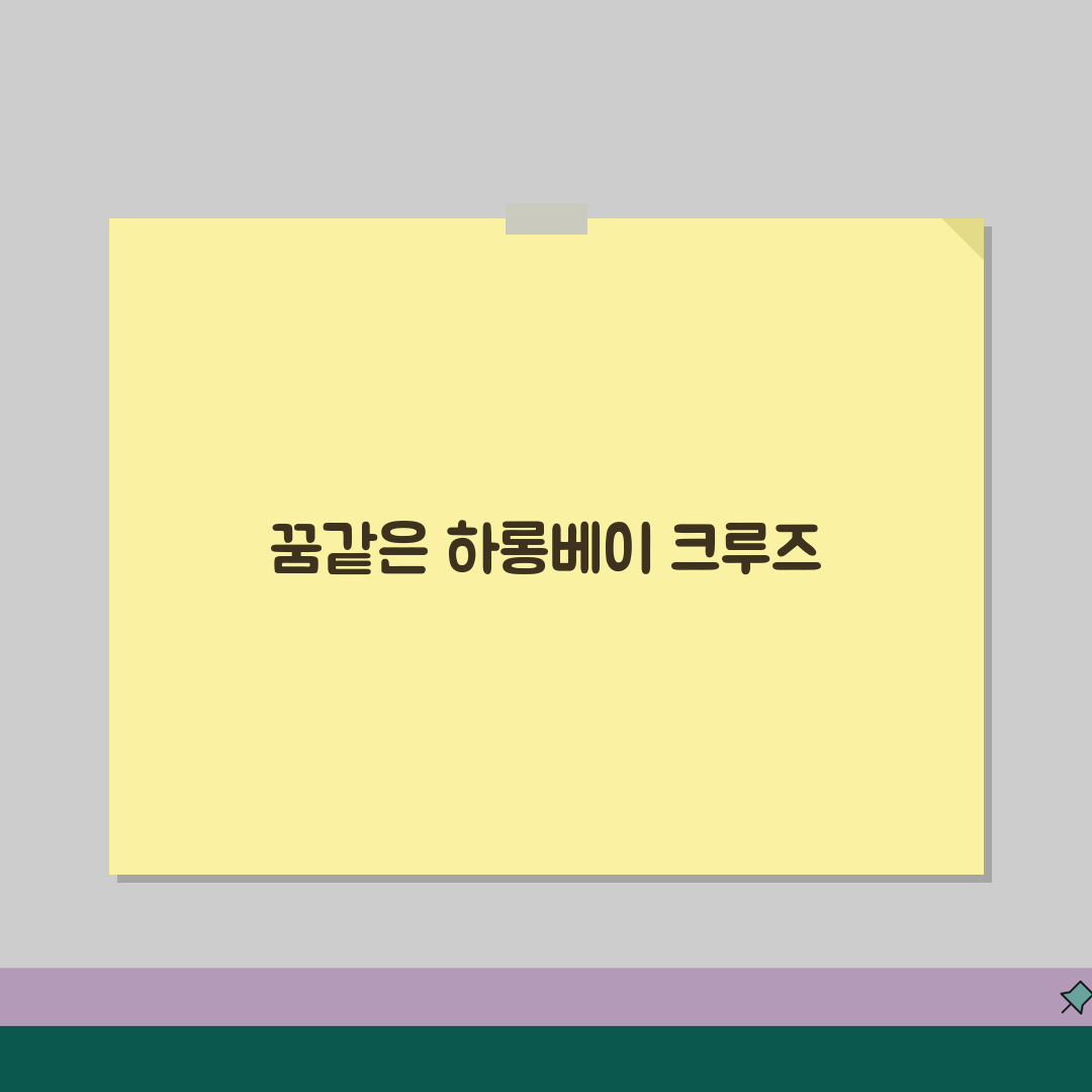 베트남 하롱베이 크루즈 | 선사별특징 | 룸컨디션 | 투어일정 비교 추천! 친구야, 같이